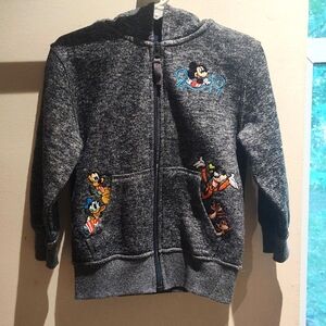 Walt Disney World Parks Jacket